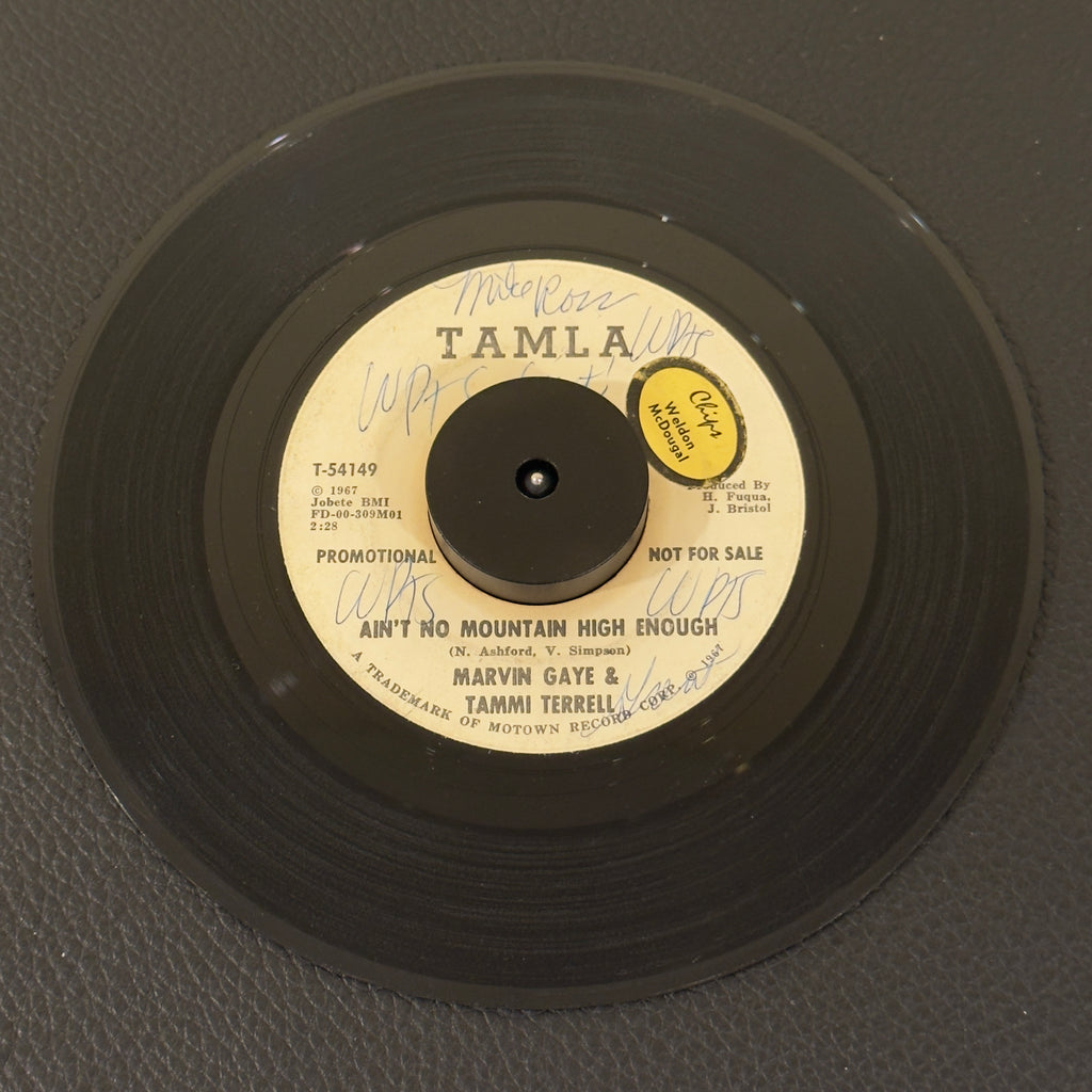 Gaye, Marvin & Tammi Terrell - Ain't No Mountain High Enough