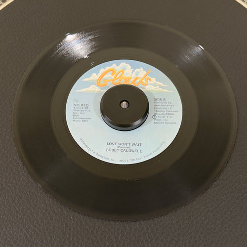 Caldwell, Bobby - What You Won't Do For Love / Love Won't Wait