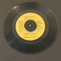 7" vinyl record by 21st Century featuring "Remember The Rain?/Remember The Rain?", released on RCA (JH -10201), in VG (Very Good) condition, classic analog collectable for turntable playback. Includes RCA sleeve. Promo Copy.
