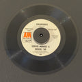 Mendes, Sergio & Brasil '66 - For What It's Worth / Viramundo