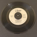 7" vinyl record by Show And Tell featuring "Voyage of Love/Do I Love You", released on Odyssey Records (OR 85451), in VG (Very Good) condition, classic analog collectable for turntable playback. Some swirl marks on side B brings it to a VG, otherwise would be VG+. Plays great!